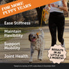 Pet Honesty Hip + Joint Health Supplement Chicken Flavor for Dogs (90 Soft Chews - 9.5 oz)