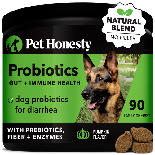 Pet Honesty Probiotics Gut + Immune Health Pumpkin Flavor for Dogs (90 Soft Chews - 9.5 oz)