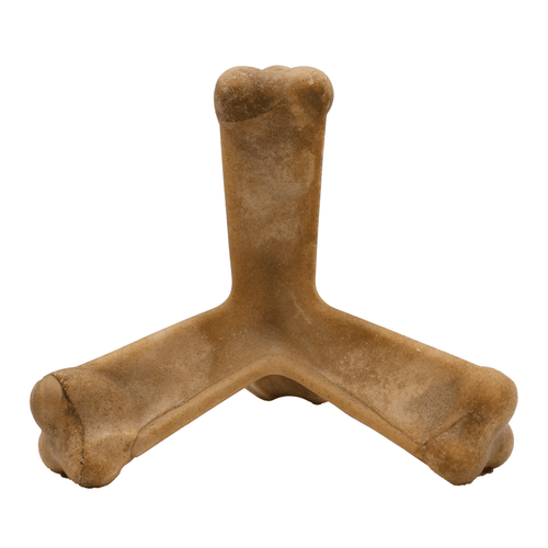 N-Bone® Quado® Interactive Bone Pumpkin Flavor