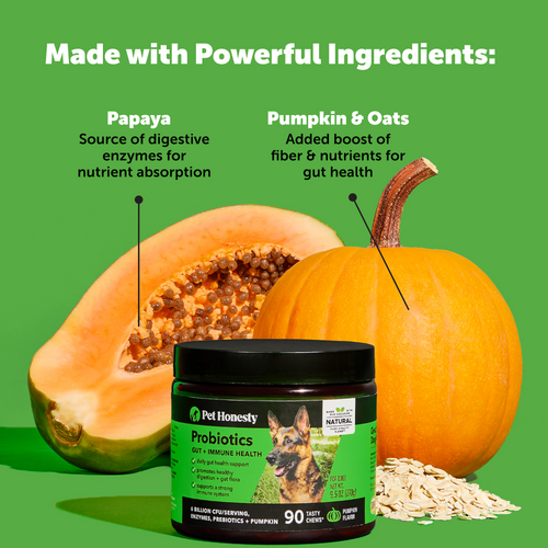 Pet Honesty Probiotics Gut + Immune Health Pumpkin Flavor for Dogs (90 Soft Chews - 9.5 oz)
