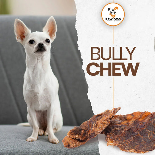 Raw Dog Bully Chews