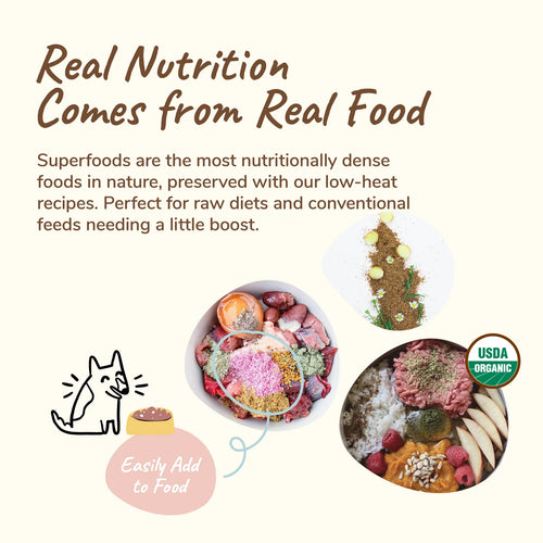 Kin + Kind Healthy Calm Supplement