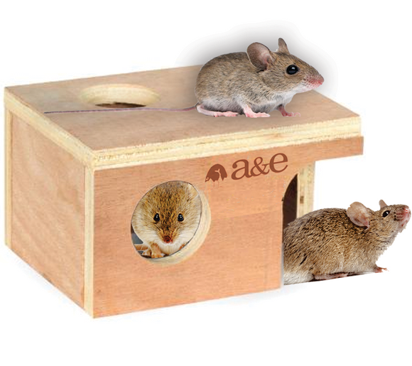 A & E Cages Pet Hut Hideouts Small Mouse Hut (5 1/4