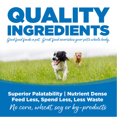 NutriSource® Large Breed Chicken & Rice Recipe Dog Food