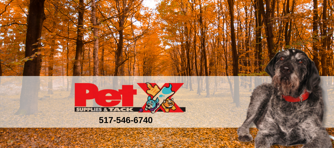 Pet Supplies Howell, MI Pet X Supplies & Tack