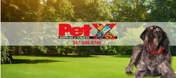 Pet Supply Store - Howell, MI | Pet X Supplies & Tack