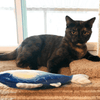 Meowijuana Get Hooked Refillable Big Kahuna Tuna Cat Toys (Medium)