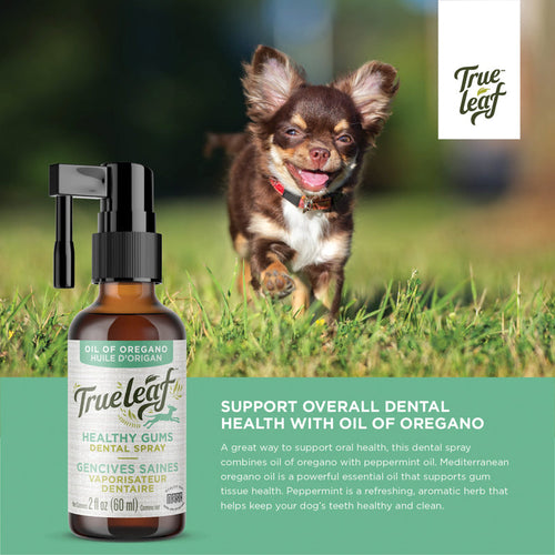 True Leaf Oil Of Oregano Healthy Gums Mouth Dental Spray (60 ml)