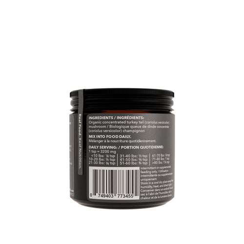 North Hound Life Turkey Tail Mushroom