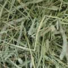 Standlee Premium Hand-Selected Timothy Grass (48 oz)