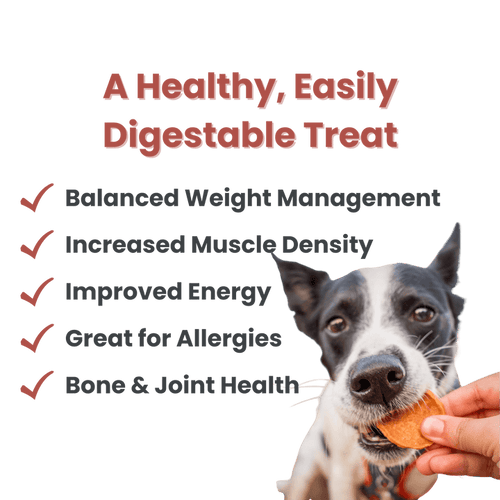 Farm To Pet Turkey Chips Single Ingredient Dog Treats