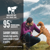 ORIJEN® Regional Red Stew Wet Dog Food