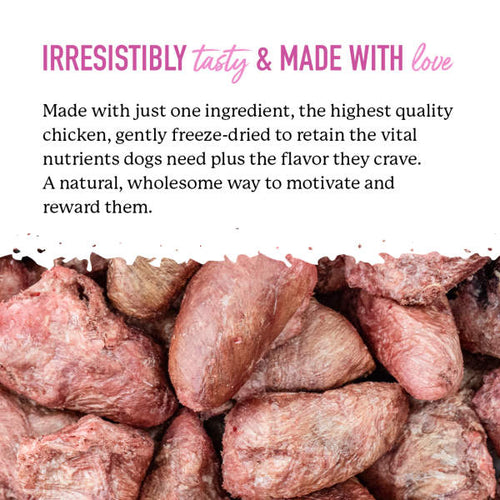 Dr. Harvey's Chicken Hearts Freeze-Dried Raw Chicken Heart Treat for Dogs