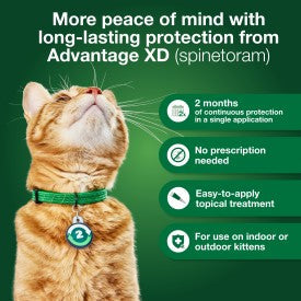 Advantage XD Small Cat Flea Prevention & Treatment For Cats