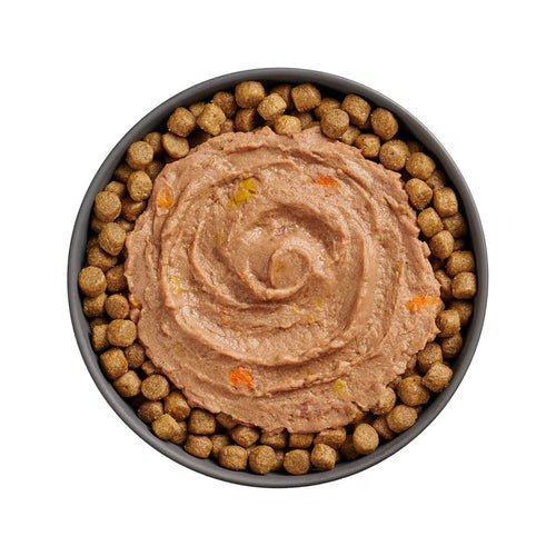 Petcurean Go! Solutions Booster Tuna + Salmon Pâté for Brain Health Wet Cat Food