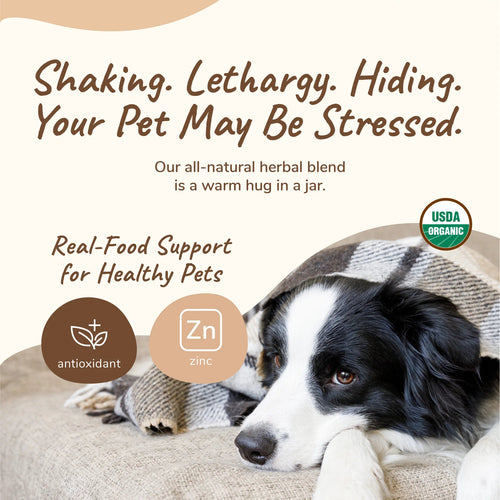 Kin + Kind Healthy Calm Supplement