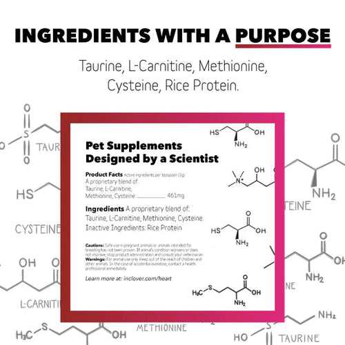 InClover Heart+ Supplement for Dogs + Cats (BioVibrant)