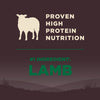 Wellness CORE Grain Free Lamb Dog Food