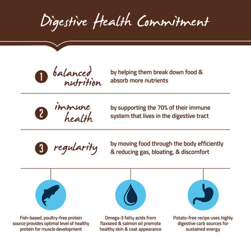 Holistic Select Natural Adult Health Anchovy, Sardine, and Salmon Meal Recipe Dry Dog Food