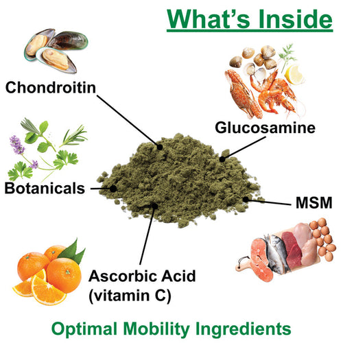Nature's Farmacy Dogzymes Phyto-Flex®