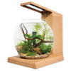 Fluval Liv Aquarium Kit Teak