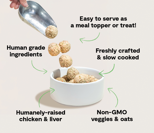 Open Farm Harvest Chicken Freshly Crafted Meatballs for Dogs
