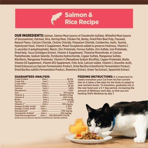 Wellness CORE® Digestive Health with Wholesome Grains Salmon & Rice Dry Cat Food