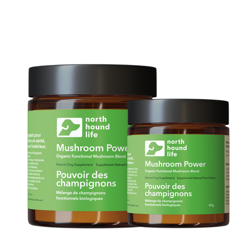 North Hound Life Mushroom Power Five Mushroom Superblend