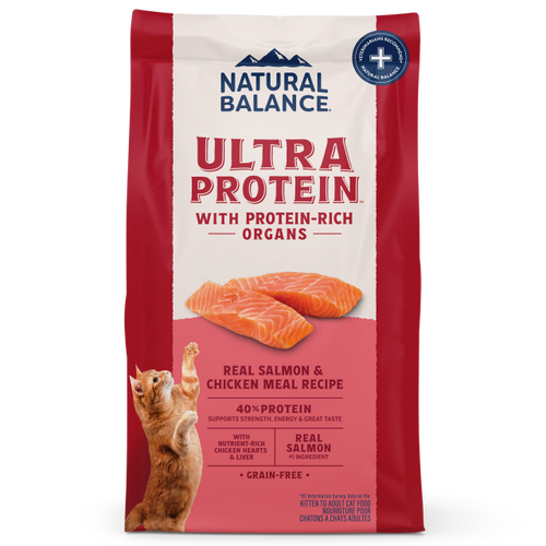 Natural Balance Real Salmon & Chicken Meal Recipe Dry Cat Food
