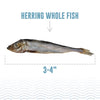 Icelandic+ Herring Whole Fish Cat Treats