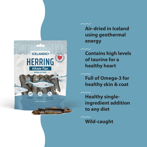 Icelandic+ Herring Whole Fish Cat Treats