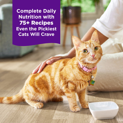 Wellness Complete Health Grilled Turkey & Turkey Liver Wet Cat Food Recipe