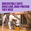 Wellness CORE+ Sensitive Skin & Stomach Salmon & Rice Recipe Dry Dog Food