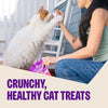 Wellness Kittles Grain Free Natural Cat Treats, Salmon & Cranberries Recipe