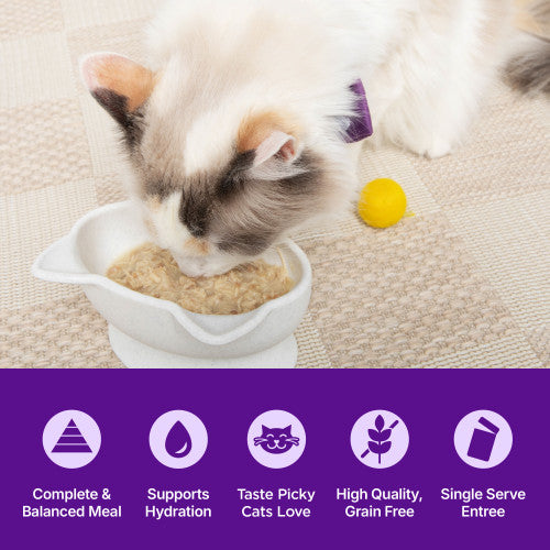 Wellness Appetizing Entrees  Shredded Chicken & Salmon Recipe in Sauce Wet Cat Food