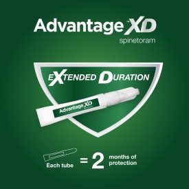 Advantage XD Large Cat Flea Prevention & Treatment For Cats