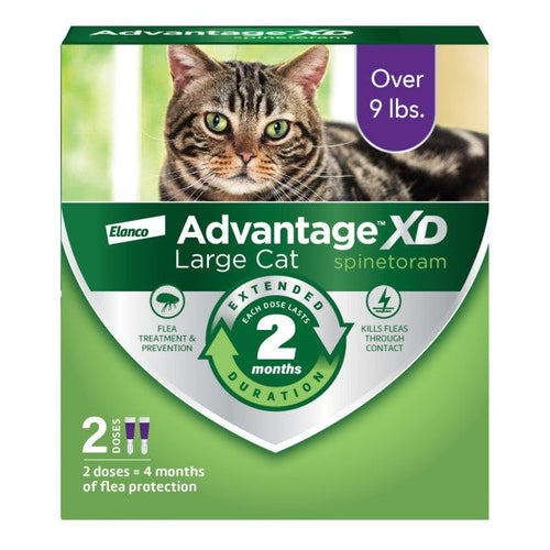 Advantage XD Large Cat Flea Prevention & Treatment For Cats