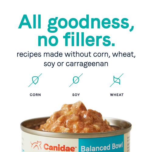 Canidae® Balanced Bowl Salmon & Sweet Potato Recipe Wet Cat Food