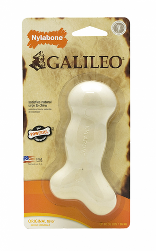 Nylabone Galileo Chew Bone Dog Toy
