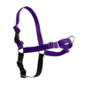PetSafe Easy Walk Deep Purple & Black Dog Harness