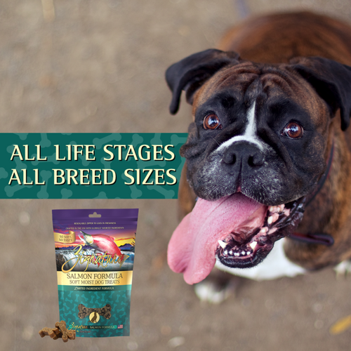 Zignature Soft Moist Dog Treats Salmon Formula