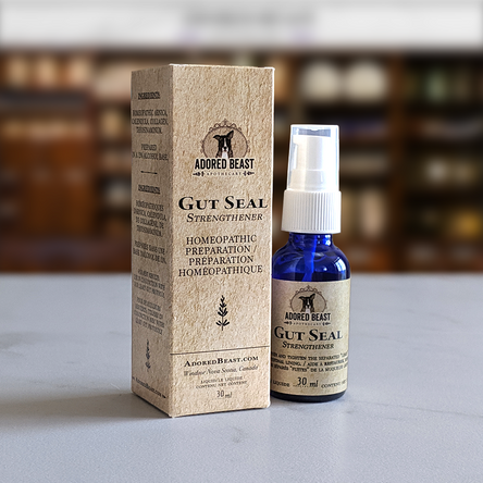 Adored Beast Gut Seal | Homeopathic (30 ml)